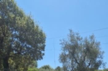 1AT/E332 - 2026